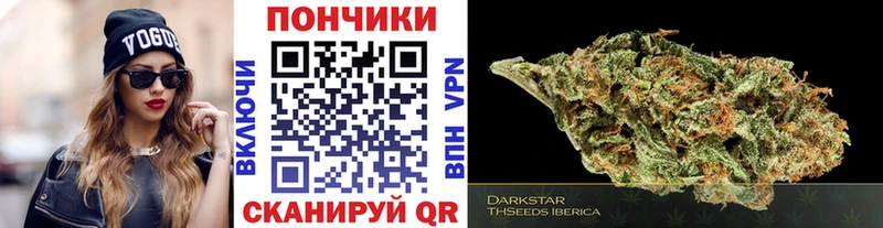 Купить наркотики сайты Тосно Alpha-PVP  Меф  ГАШ 