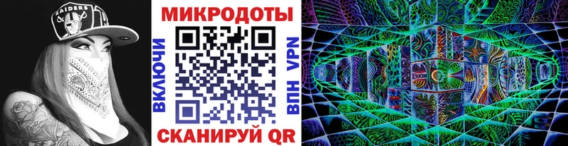 где можно купить наркотик  Тосно  Галлюциногенные грибы Psilocybine cubensis 