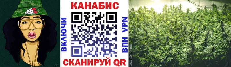 Канабис SATIVA & INDICA  мориарти официальный сайт  Тосно  как найти закладки 